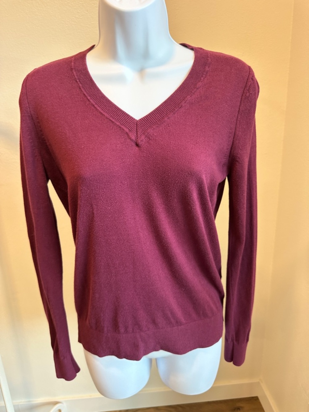 Banana Republic V-Neck Sweater in Burgundy